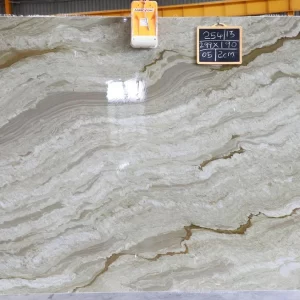 Sea Shell Quartzite
